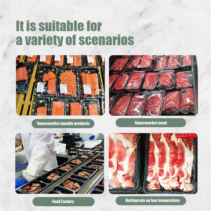 Disposable Meat Tray suppliers
