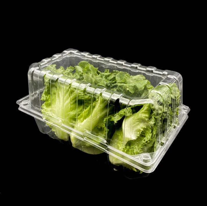 PLASTIC Vegetable Boxes suppliers